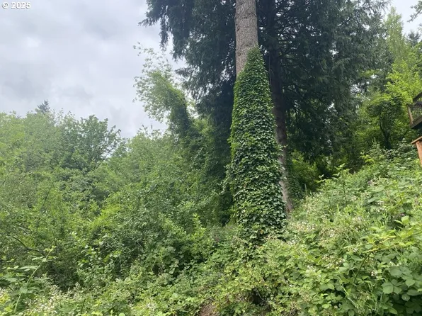 1132 SW Broadway Dr, Portland, OR 97201