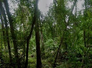 134 Palmland Ave, Satsuma, FL 32189