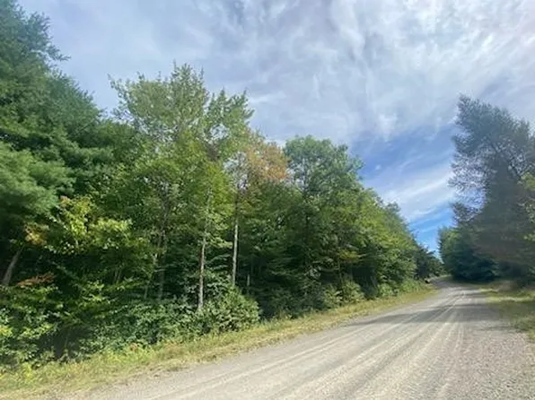 0 Sam Holdridge Rd #9, West Burlington, NY 13482