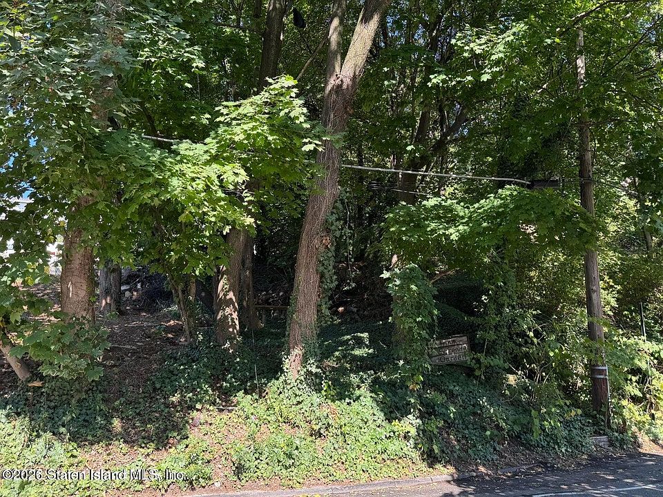 2nd image of 296 Saint Pauls Ave
