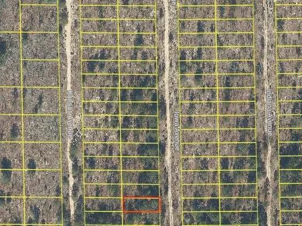 Iowa Avenue Lot #25, Hawthorne, FL 32640