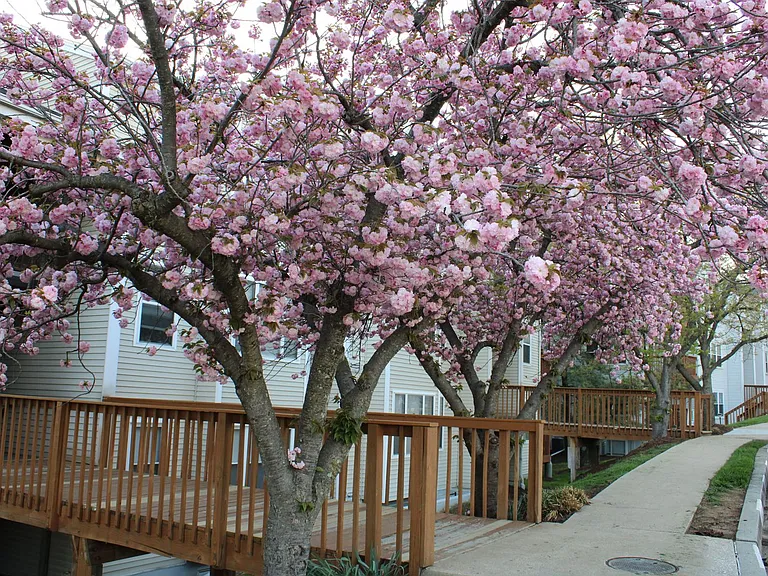 20 Deer Run Ct #H — Photo 2
