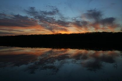 4th image of 54 Round Pond Ln