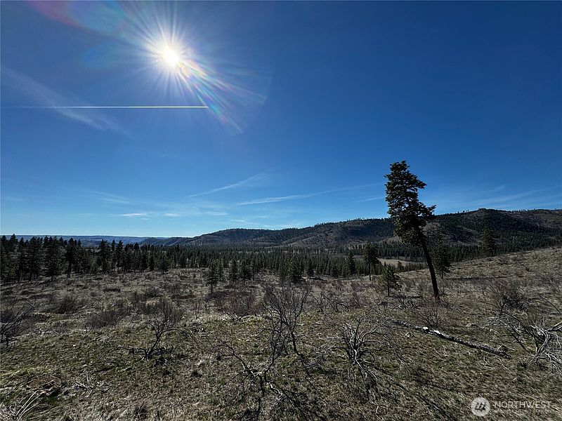 2nd image of 0 NHN Washington Creek Road