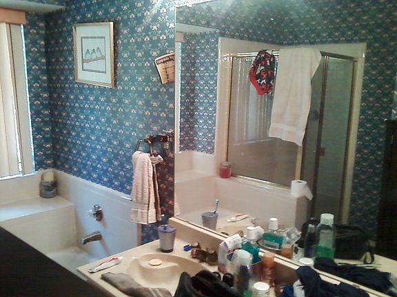 master bath, shwr and tub