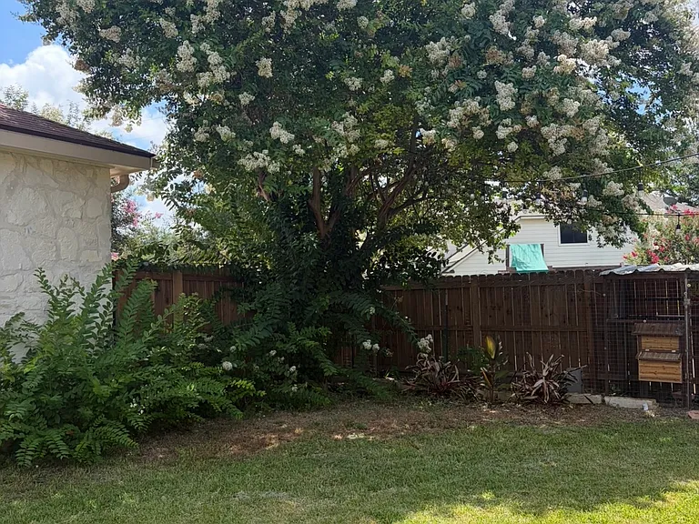 1504 Circle Oak Dr — Photo 11