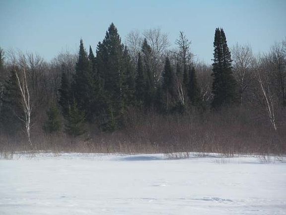 5th image of ON CTH G #28.67 Acre