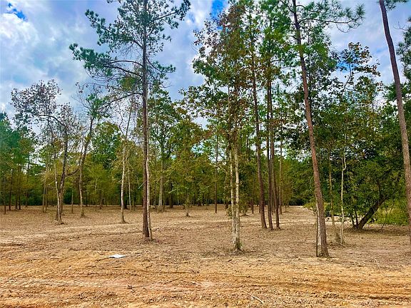4th image of 11766 Grand North Rd Lot 9