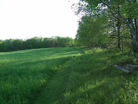 Farm Field 
Walking Path