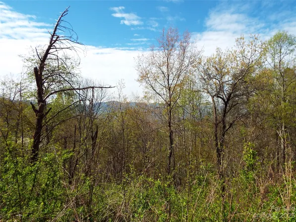 0 Garden Rdg, Clyde, NC 28721