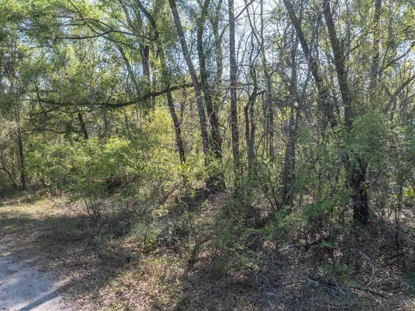 Tbd 181st Rd, Live Oak, FL 32060