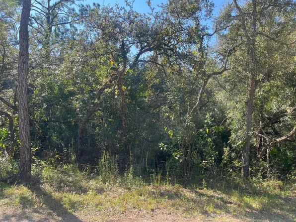 (undisclosed Address), Webster, FL 33597
