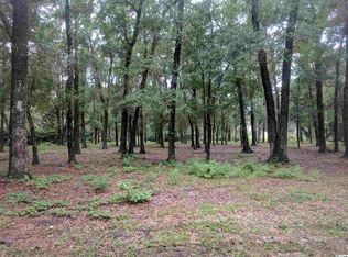 410 Weston Rd, Pawleys Island, SC 29585