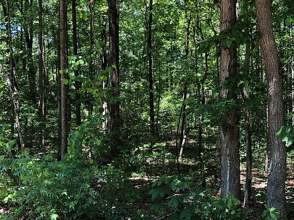 3rd image of 0 Jarrett Ln Lot 0