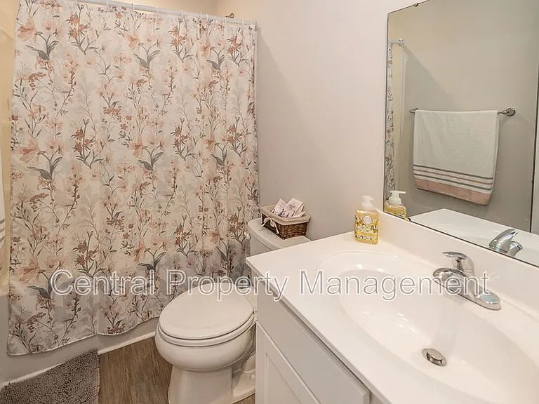 225 Coldwater Creek Ct — Photo 16