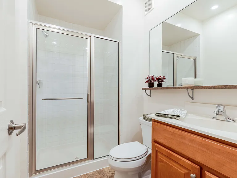 Walk-in Shower