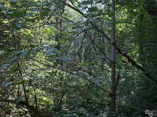 10212 Foss River Place, Skykomish, WA 98288