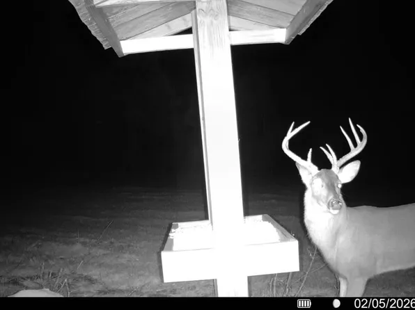 County Road 27, Castleberry, AL 36432