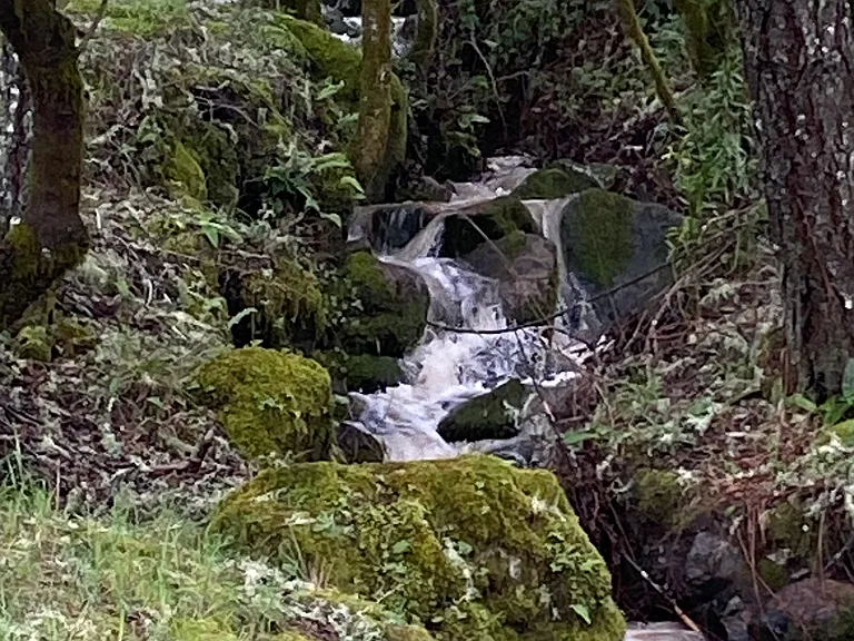 Coleman Valley Rd — Photo 8