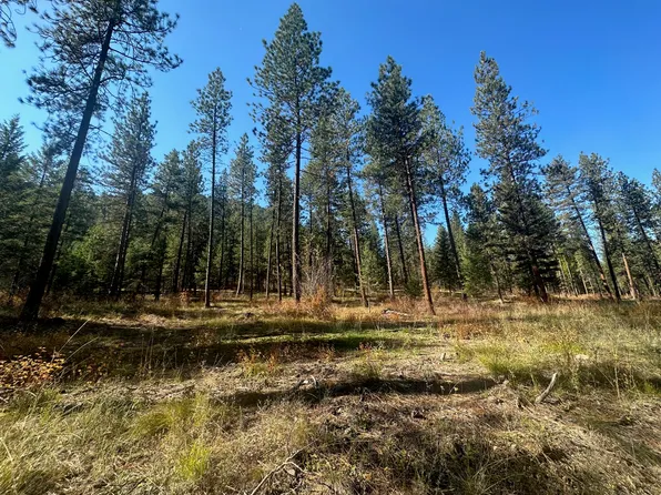 Nka Canine Ct, Superior, MT 59872