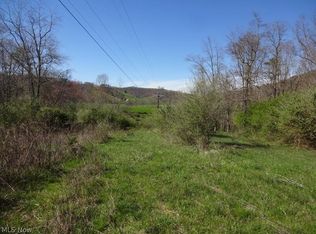 Daniels Run Rd, Palestine, WV 26160