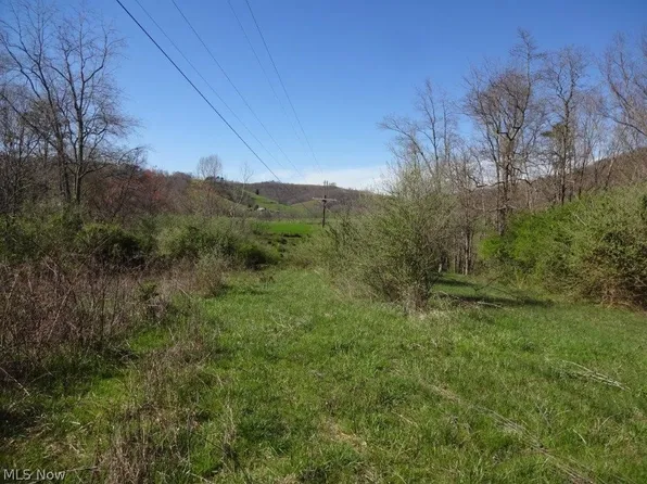 Daniels Run Rd, Palestine, WV 26160