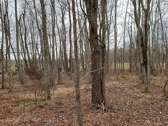 5th image of 0 Belmont Dr Lot 2