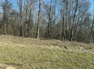 0 Riggins Mills Rd, Jeffersonville, GA 31044
