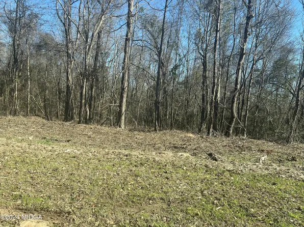 0 Riggins Mills Rd, Jeffersonville, GA 31044