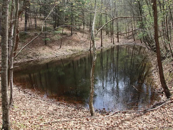 Hodges Ln Lot Wp014, Winchester, VA 22603