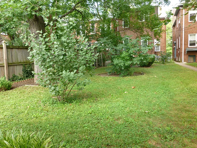 Back of house from back yard.