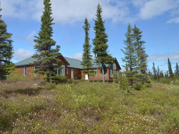 L11 B Keyes Point #3, Pt Alsworth, AK 99653