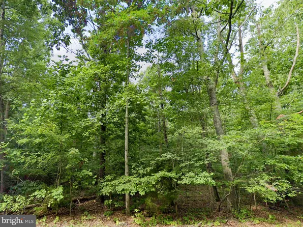 0 Pannell Ln, Culpeper, VA 22701