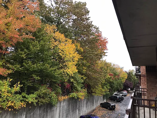 Rented by J Misrahi Realty Corp | media 1