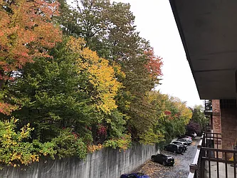 Rented by J Misrahi Realty Corp