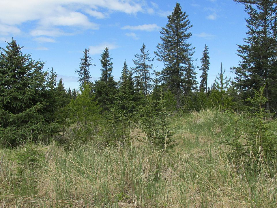 2nd image of 32885 Sterling Hwy