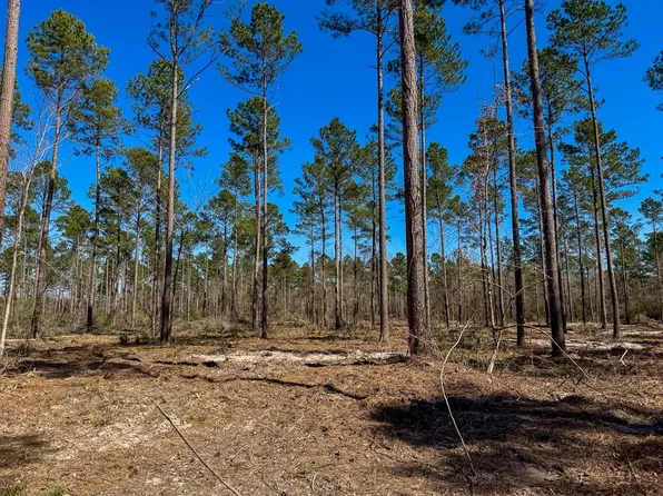2 Boontown Rd, Groveton, TX 75845