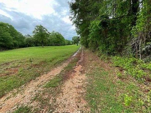 5th image of 11564 County Road 4264