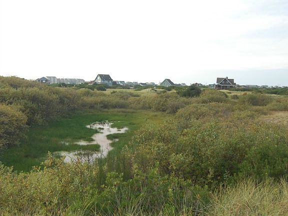 4th image of 1439 Kailua Ct