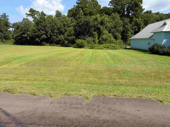 Riverscape Dr, Springfield, LA 70462