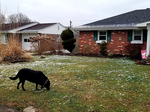 2nd image of 2204 Willard St