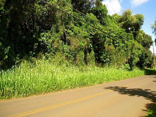 2nd image of Omao Rd