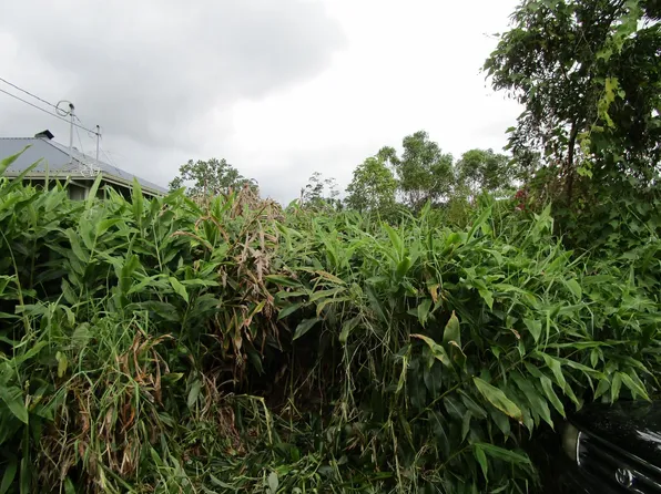 LOT 21 Lot 21, Hilo, HI 96720