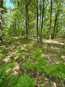 Par B 15 Mile Rd, Big Rapids, MI, 49307