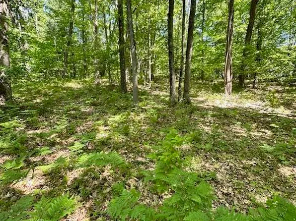Par B 15 Mile Rd, Big Rapids, MI 49307