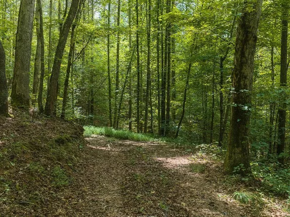 300 Sumac Ln, Ellijay, GA 30540
