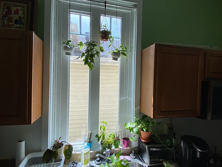 2750 Orchid St #12C — Photo 6