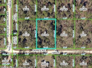 0 Laura East Ave, Brooksville, FL 34614