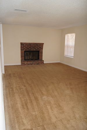 Livingroom fireplace