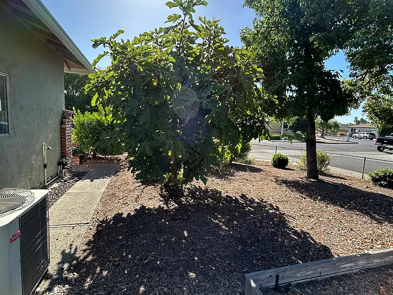 566 Joaquin Dr — Photo 6